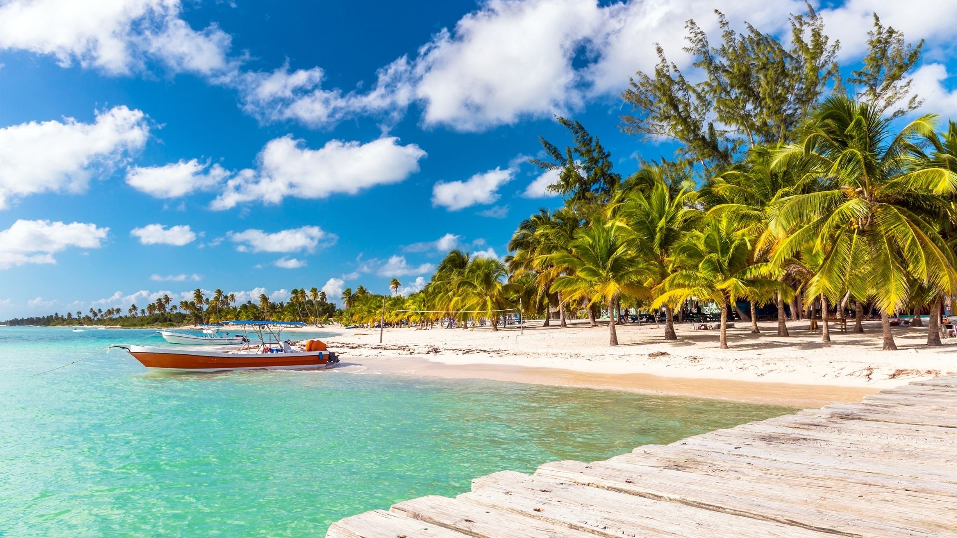 dominicana tours from canada