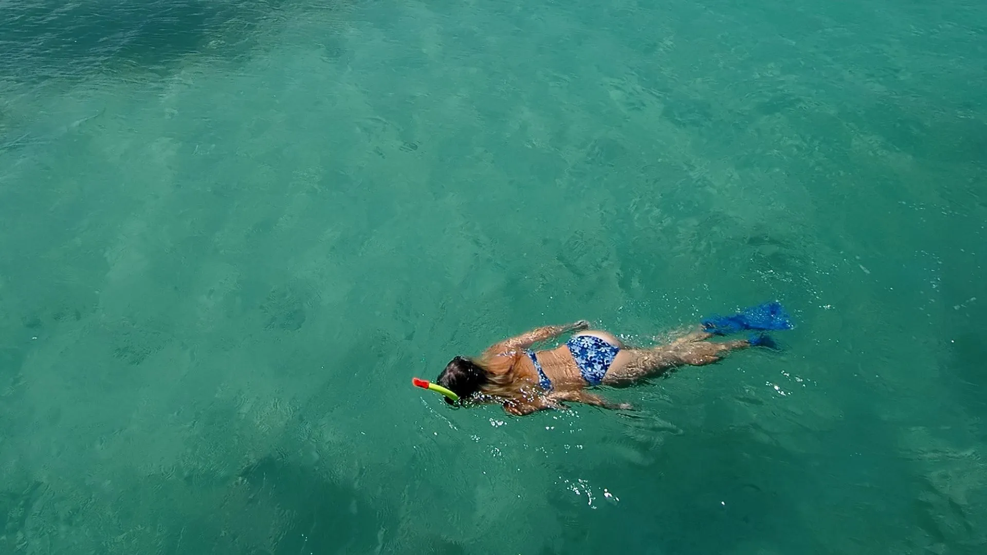 snorkeling Dry Tortugas