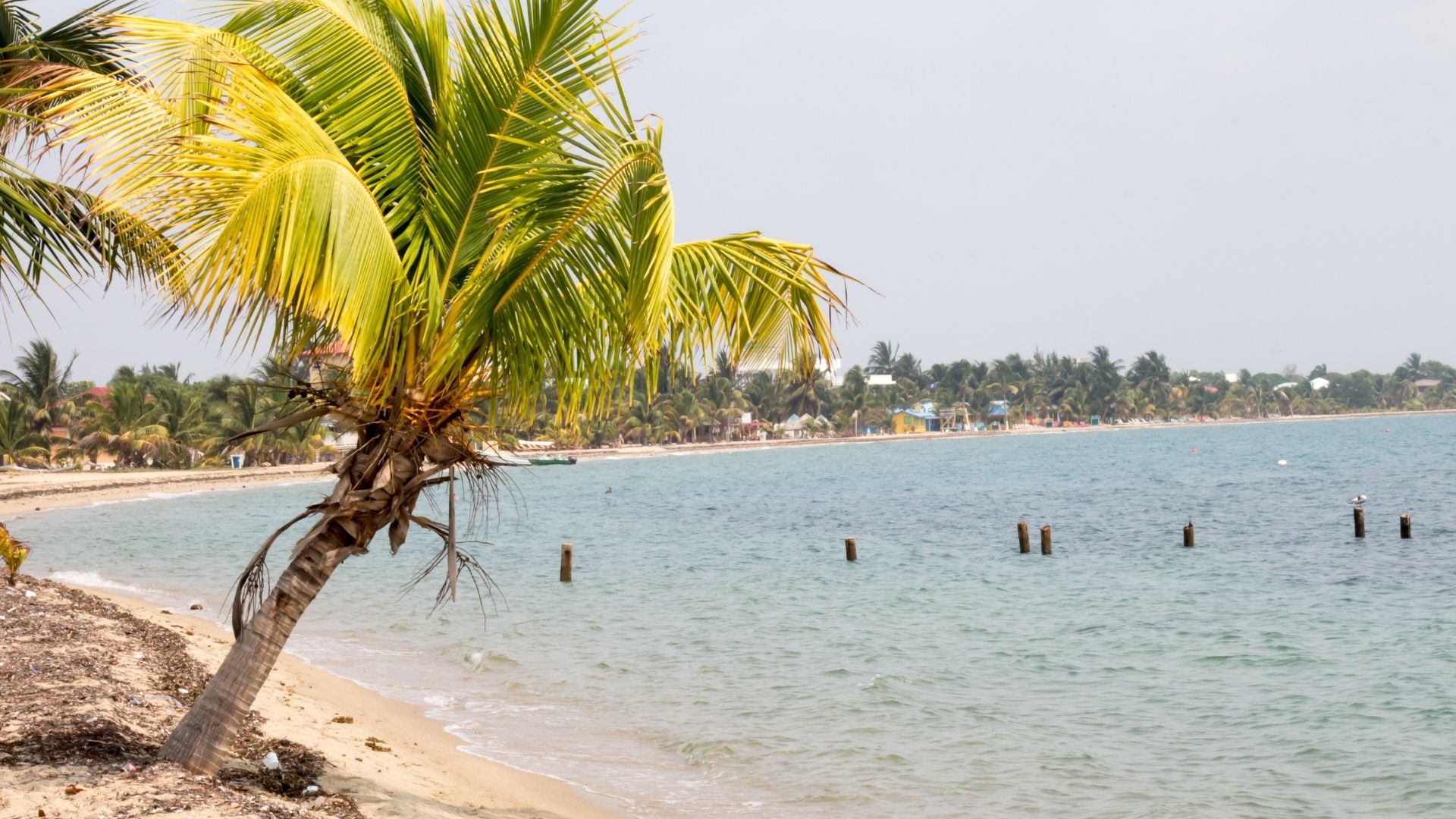 cheapest destinations in the Caribbean Placencia