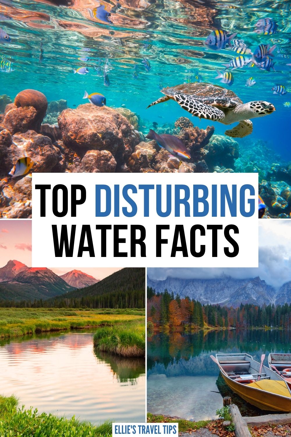 disturbing water facts