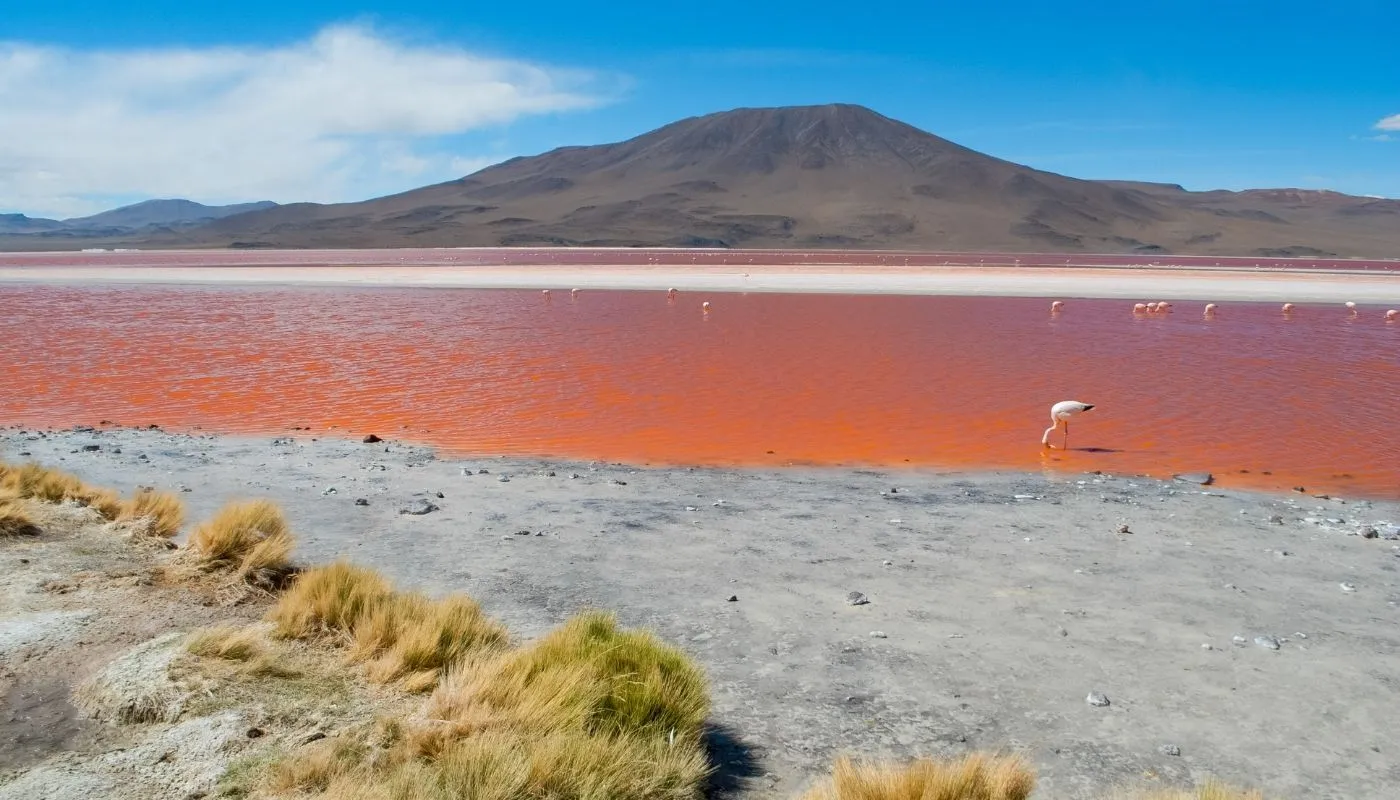 beautiful laguna colorada lake bolivia