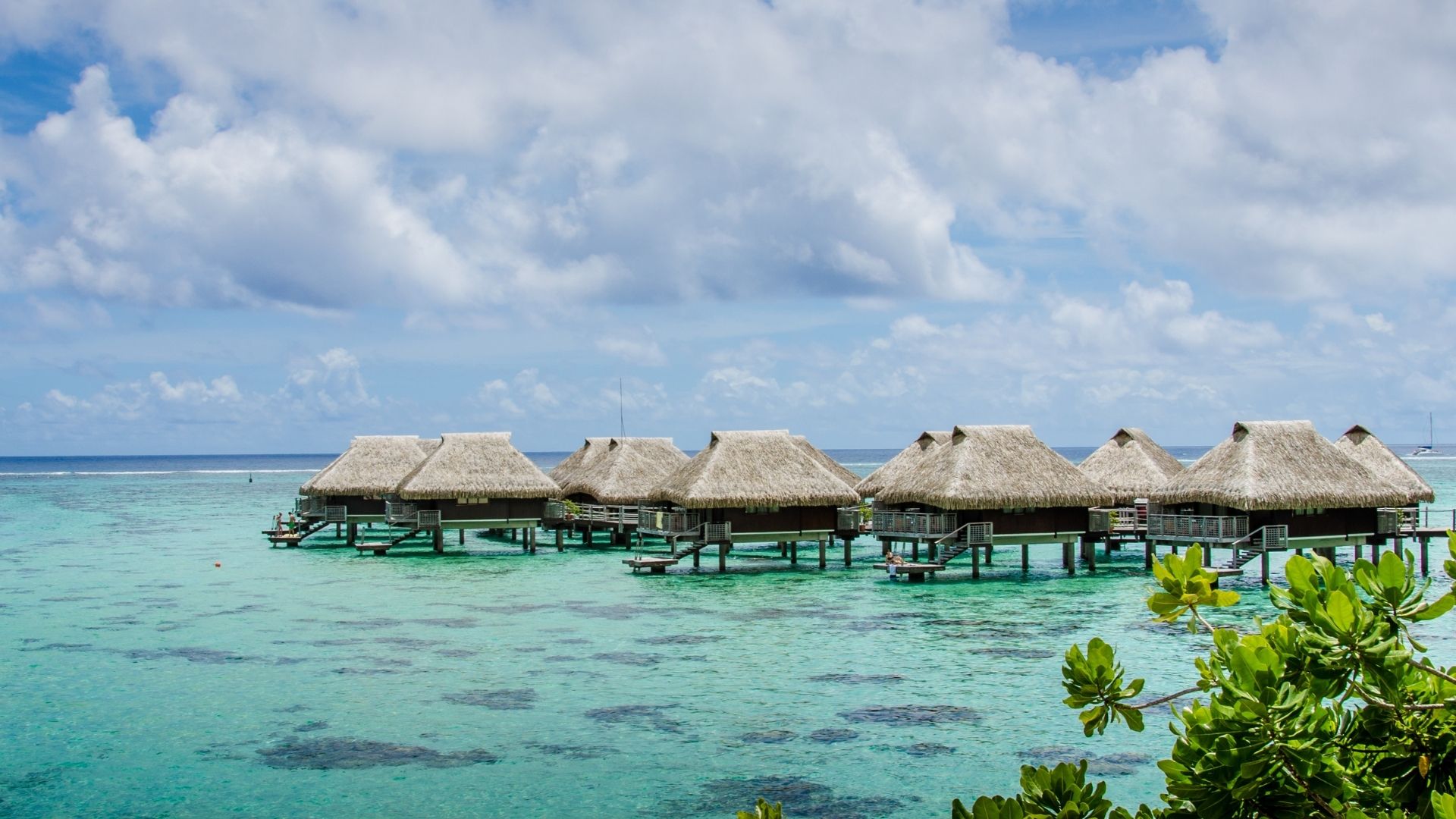 27 Best Overwater Bungalows in the Caribbean for 2024!