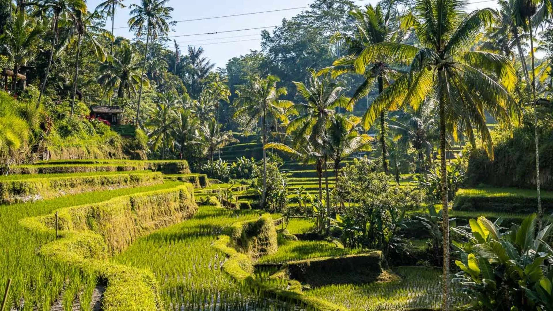 scenic islands Bali