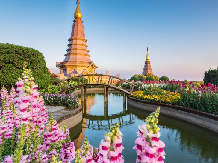 Image of flower gardens in Chiang Mai, Thailand