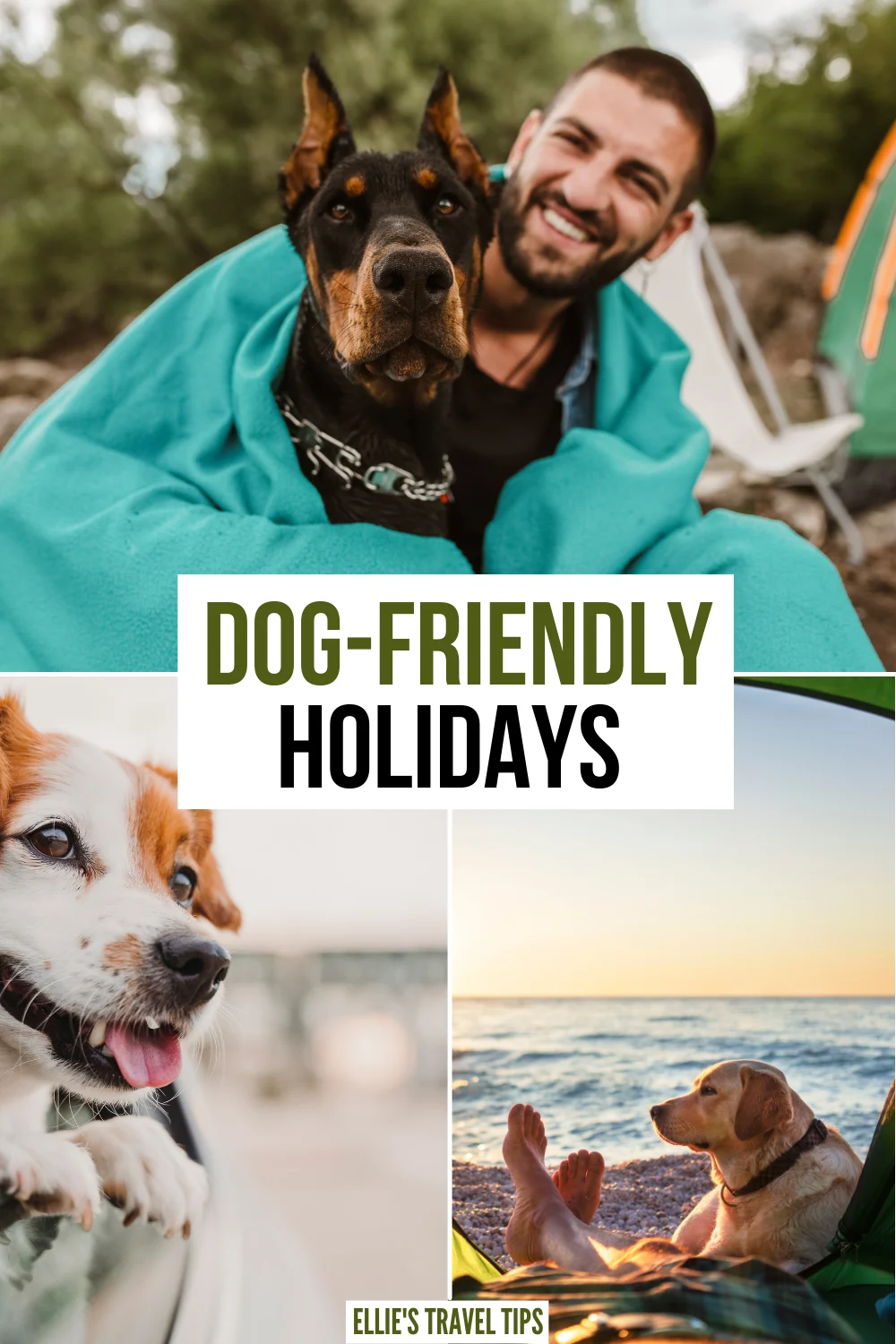 Best dog hot sale friendly holidays