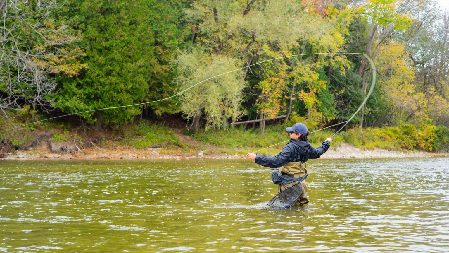 Driftless Fly Fishing: a Midwest Fisherman's Paradise