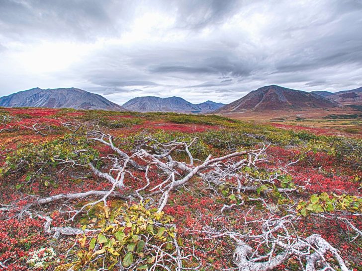 Nunavut Facts