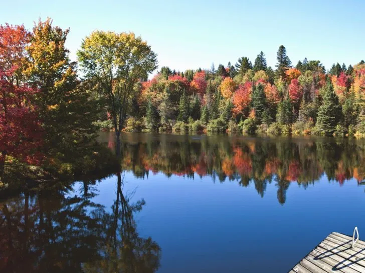 Ontario nature scene