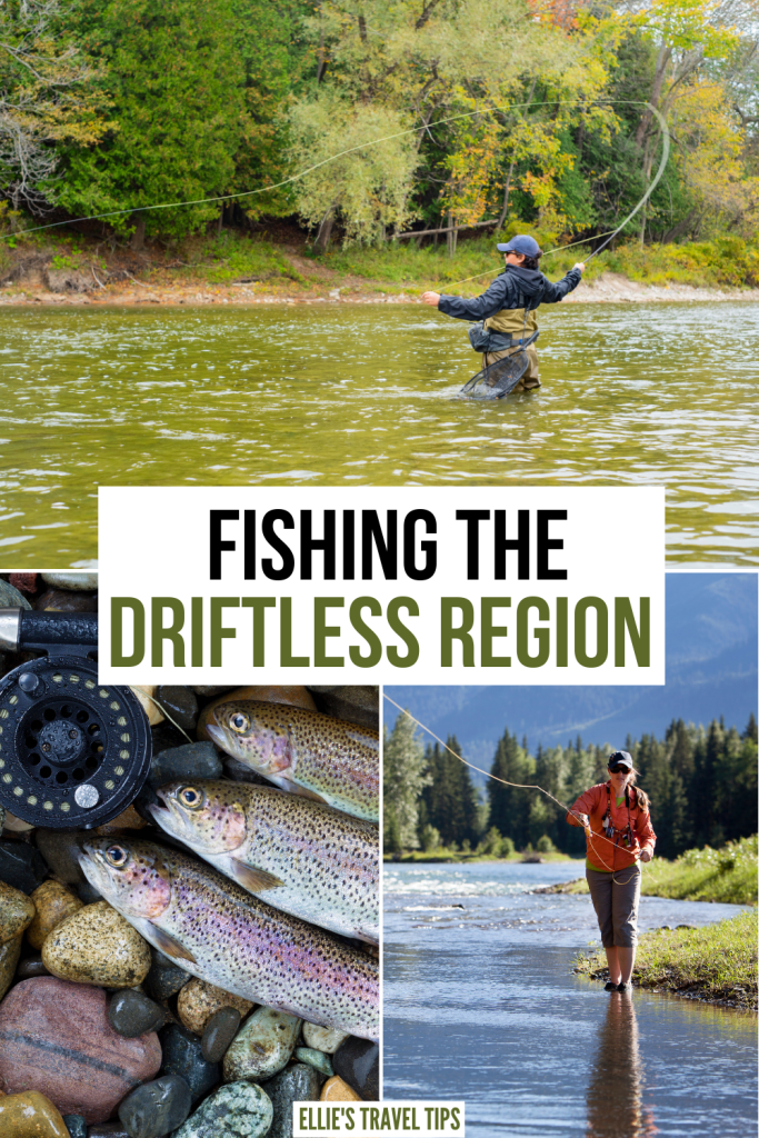 Driftless Fly Fishing: a Midwest Fisherman's Paradise