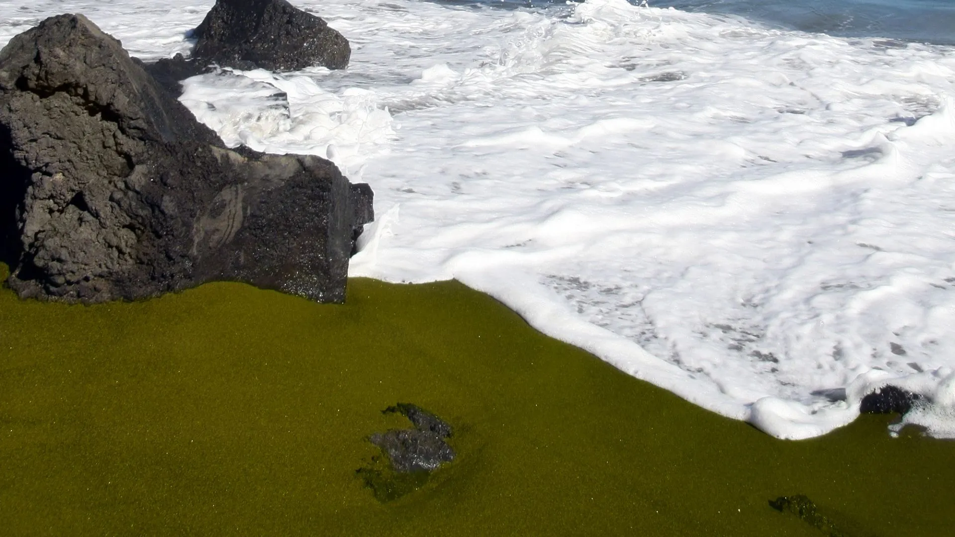 hawaii green sand beach