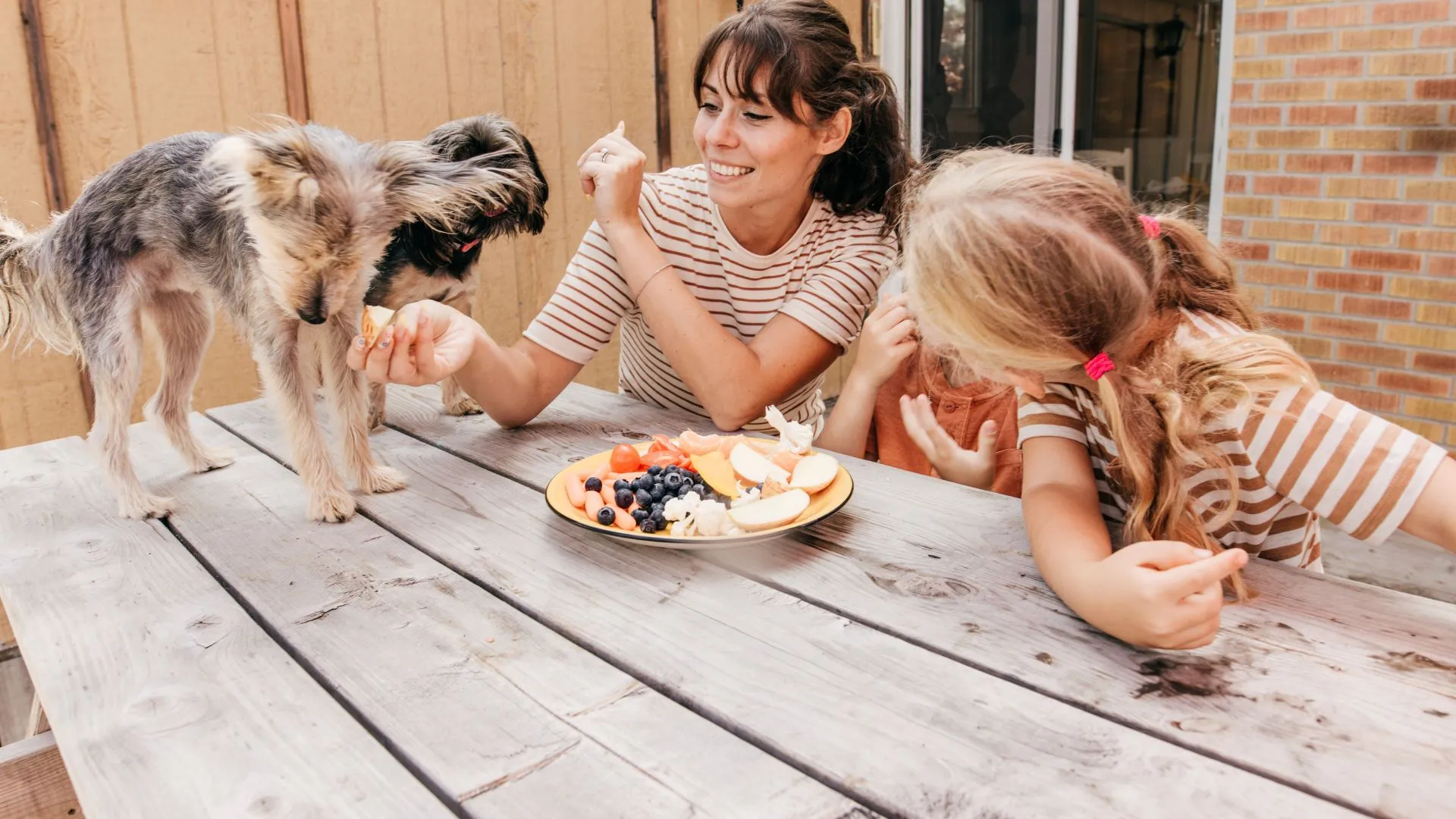 Family and dog over a plate of food