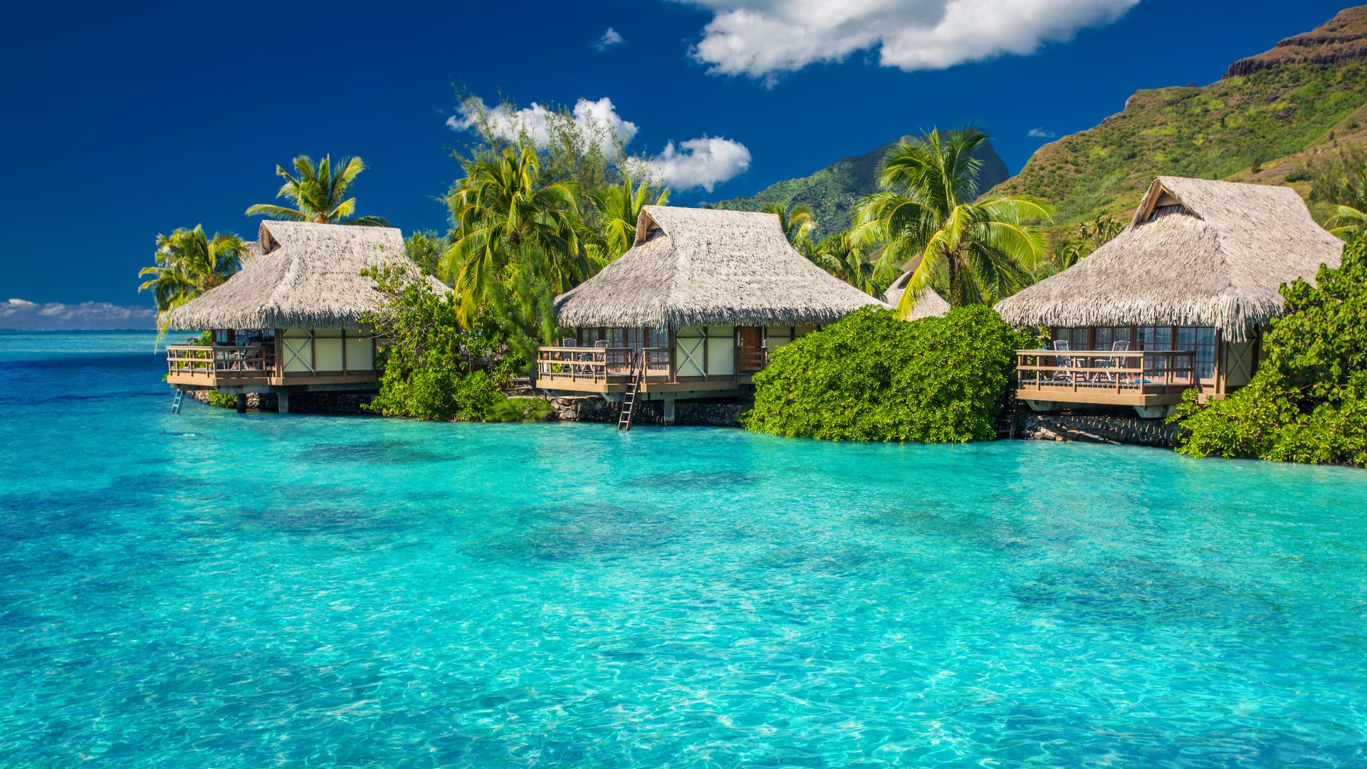 Overwater Bungalows In Thailand Unveiling The Best