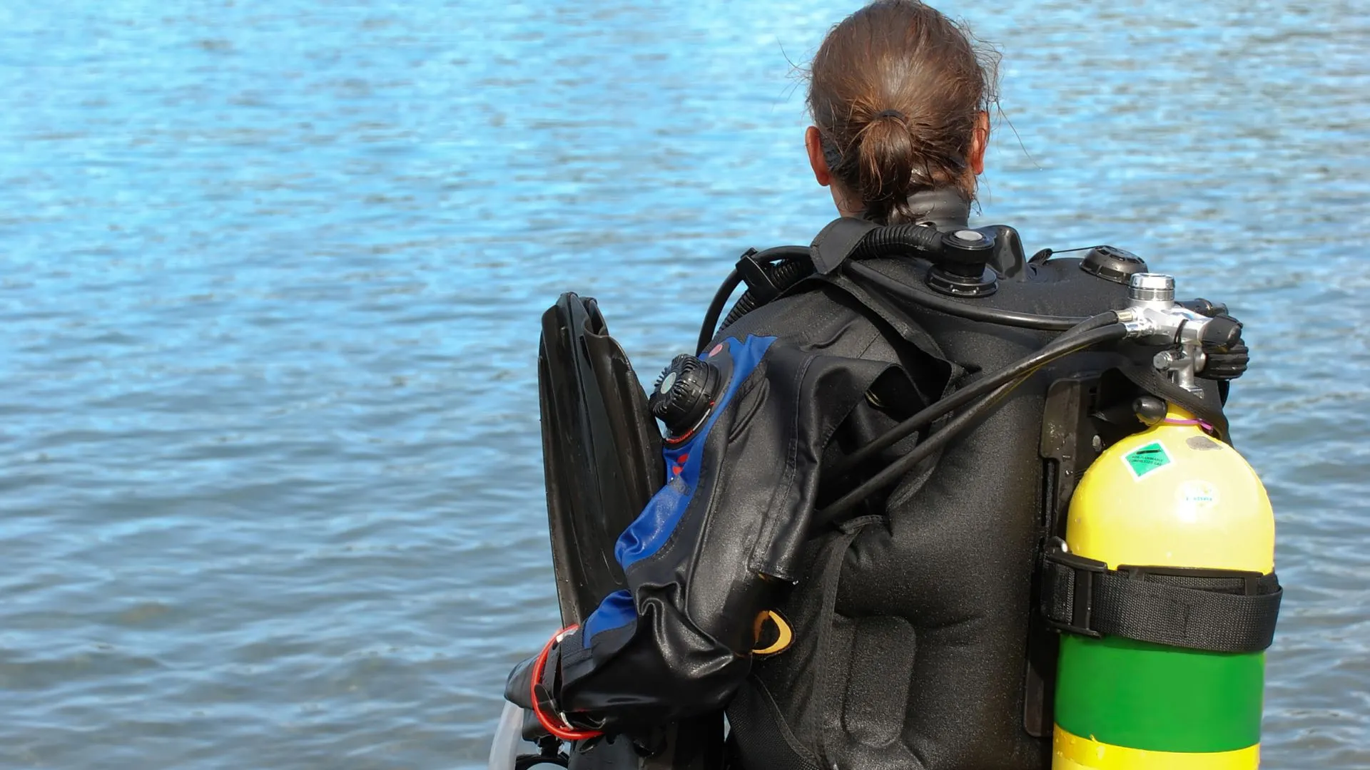 Cold Water Dive Gear: A Shopping List for New Divers [INFOGRAPHIC] - Scuba  Scribbles