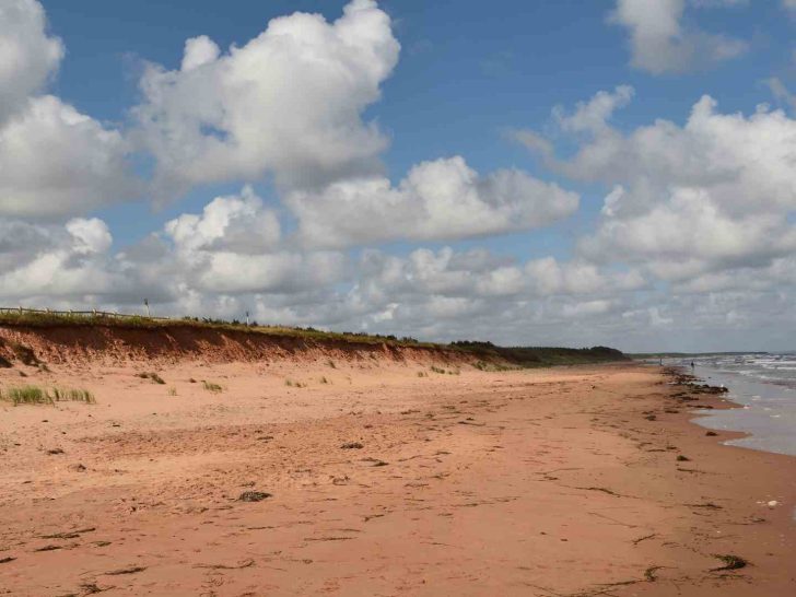 Cavendish Beach