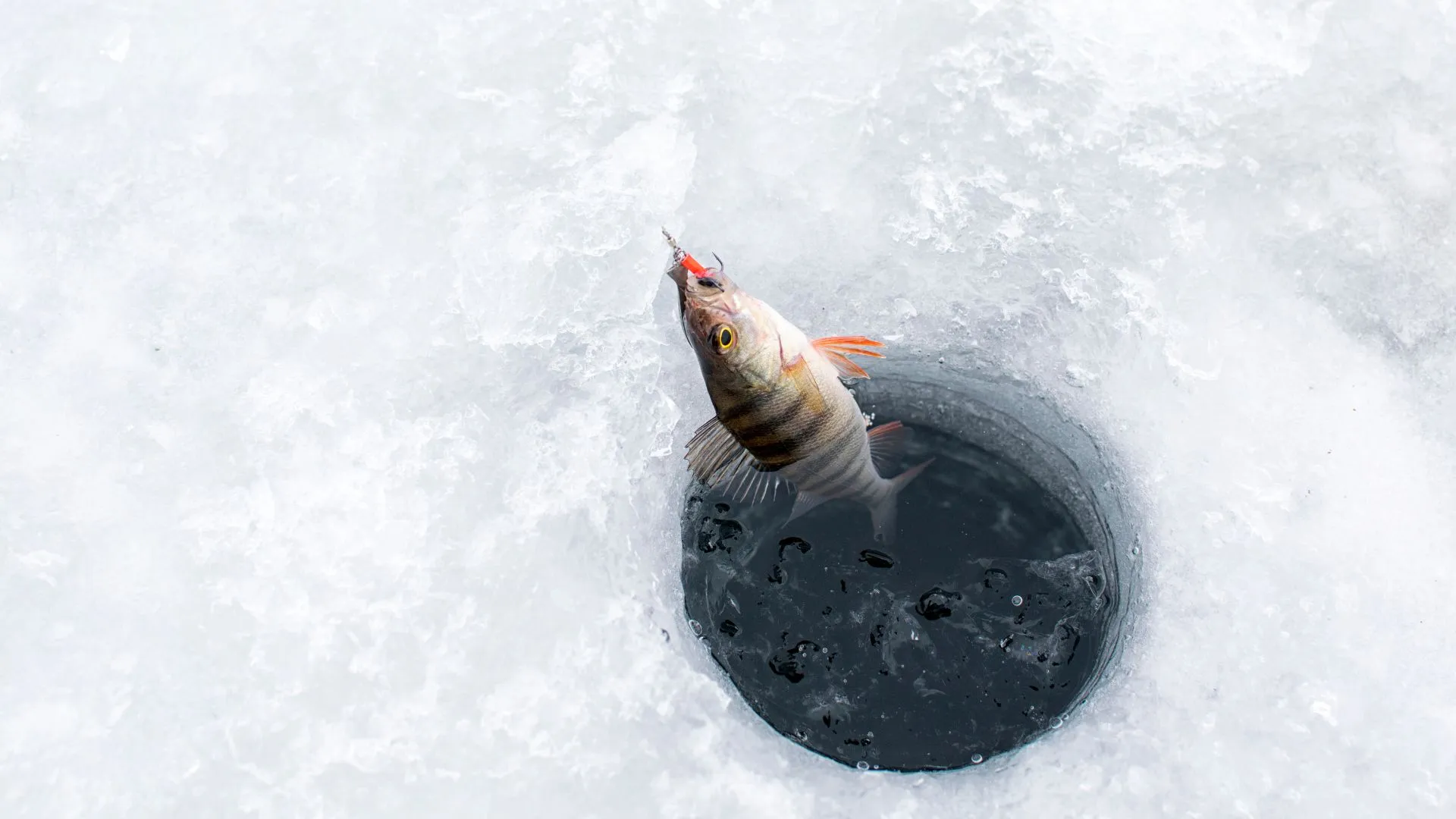 Devils Lake Ice Fishing: Your Comprehensive Guide!