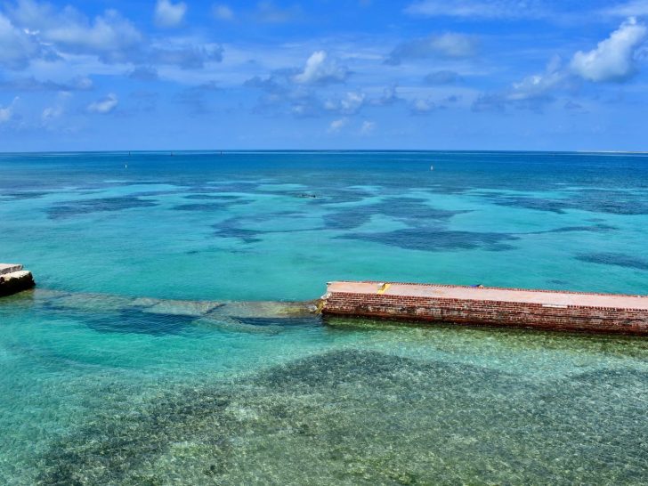 Dry Tortugas National Park snorkeling