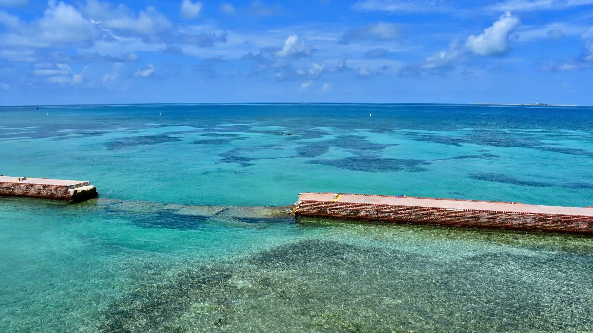 Dry Tortugas National Park snorkeling