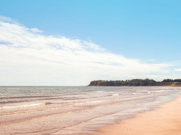 Sally's Beach