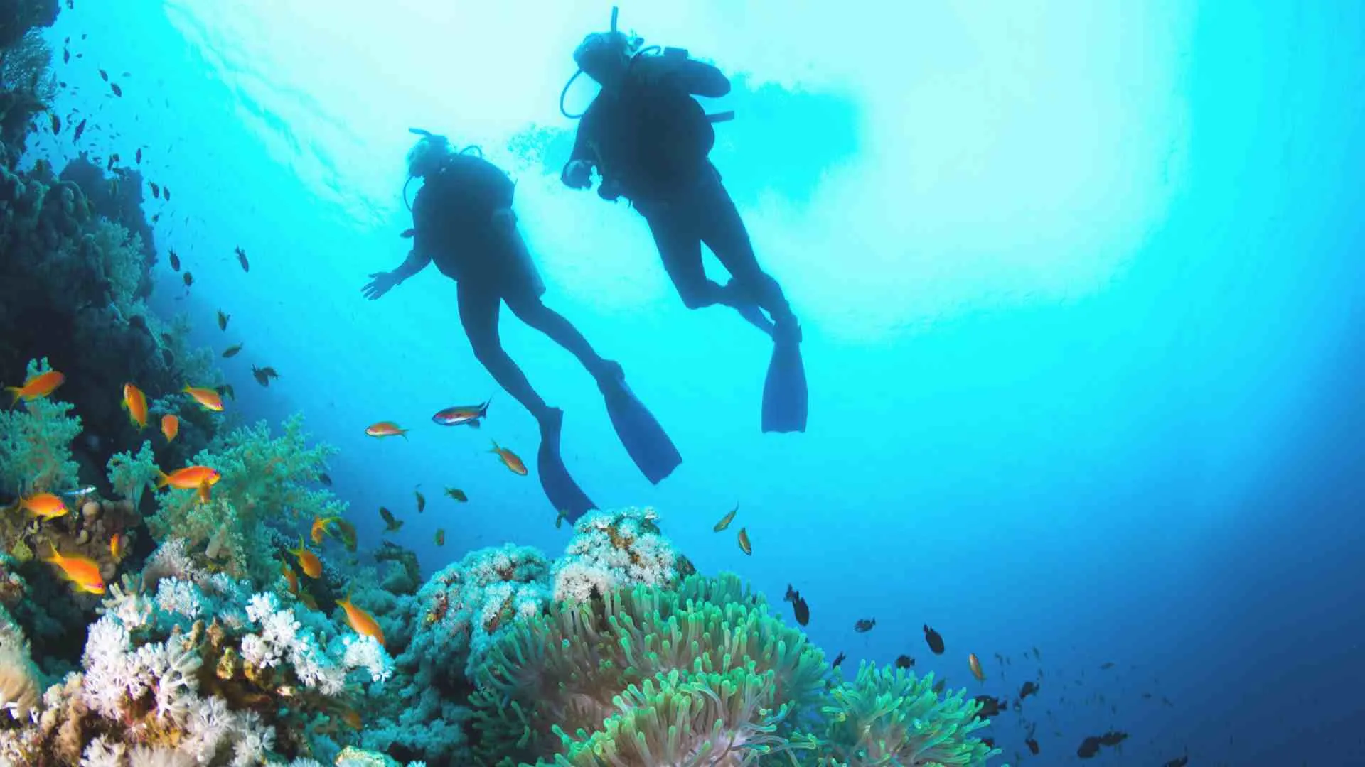 big island vs. oahu when it comes to scuba and snorkel