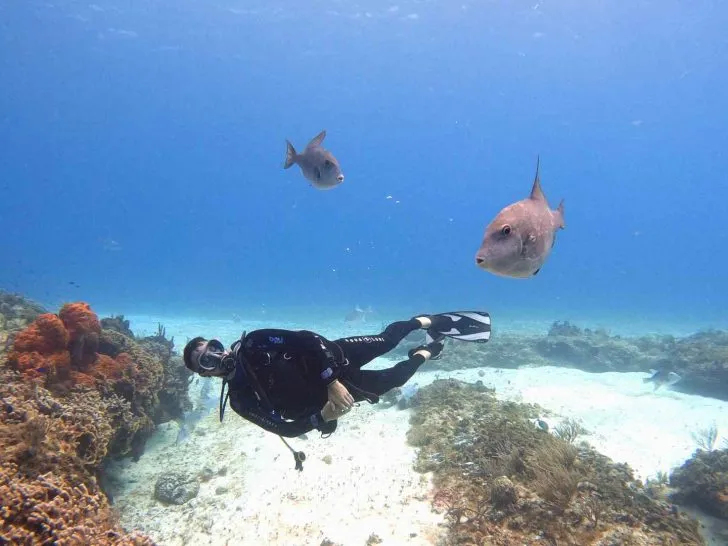 cozumel dive sites