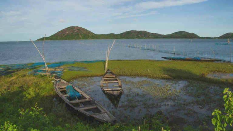 Ecotourism In Odisha: Explore Beautiful Nature Camps & Retreats