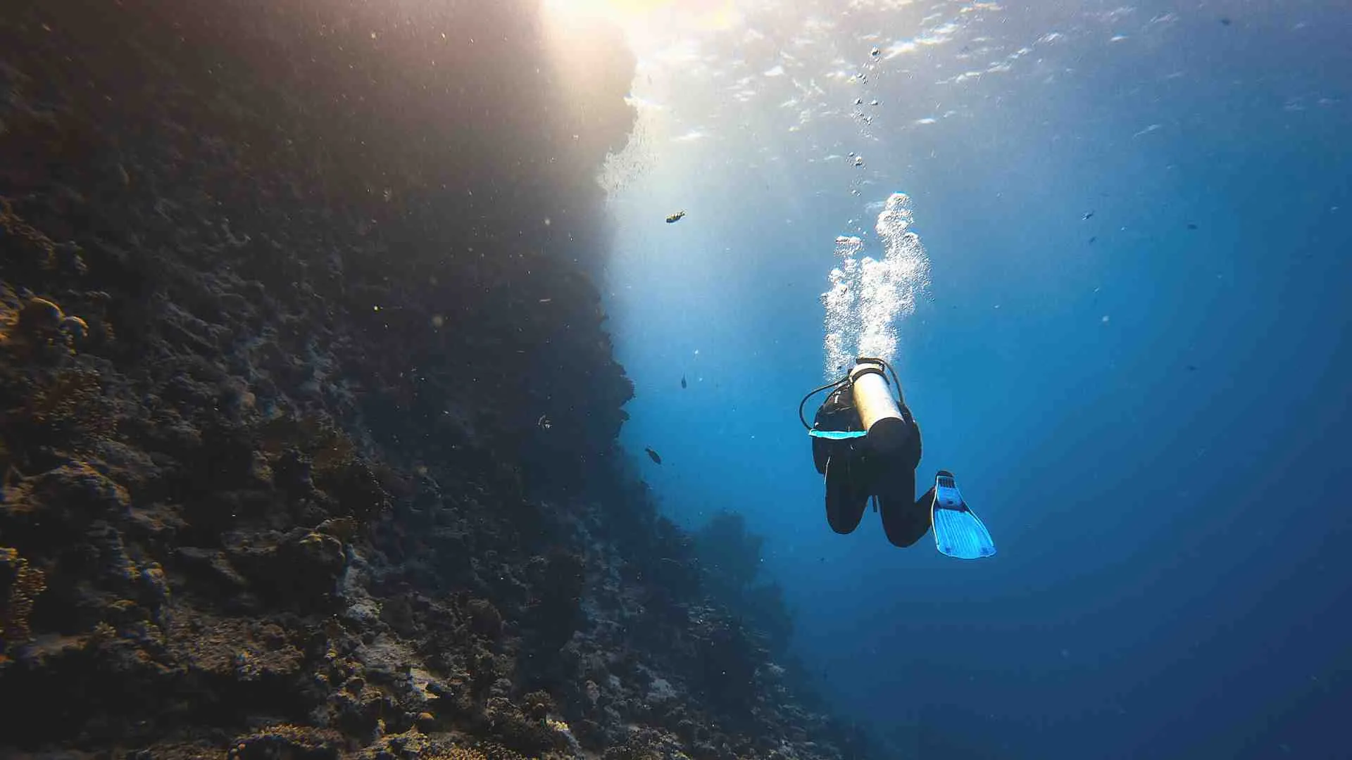 scuba diving wall