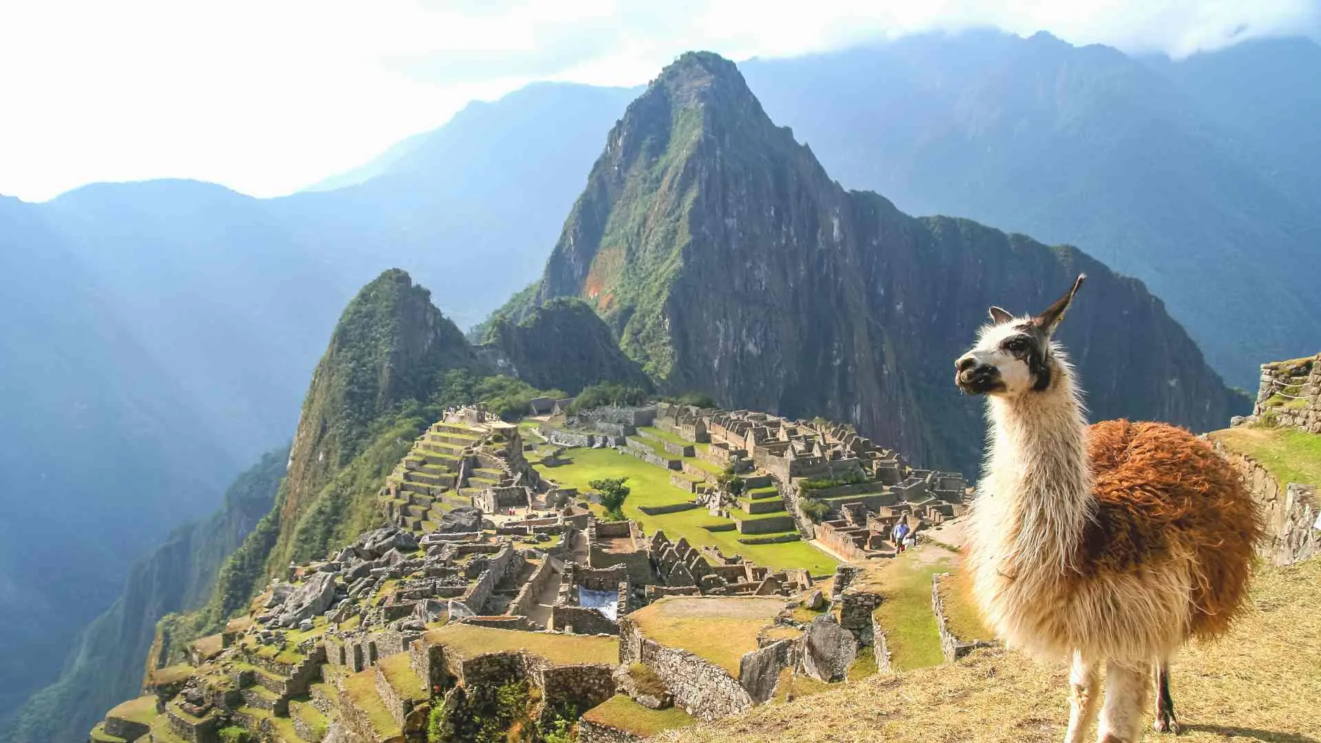 Machu Picchu travel tips