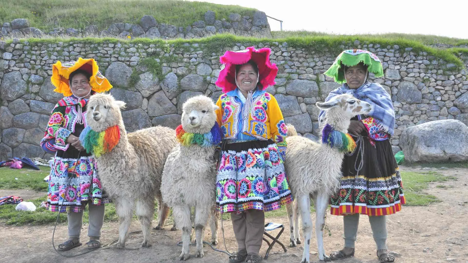 peru llamas and natives