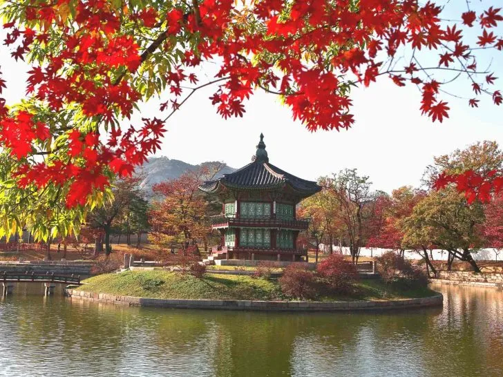 travel tips for south korea