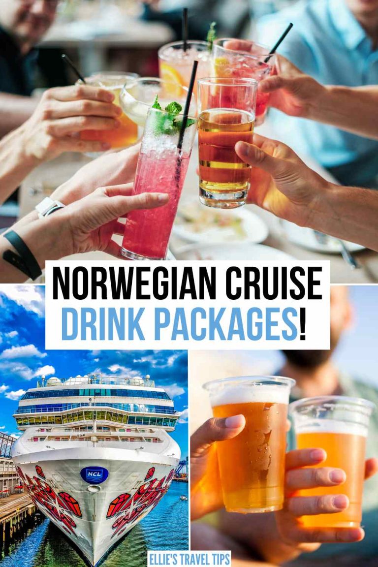 All 5 Norwegian Cruise Beverage Packages with Prices!