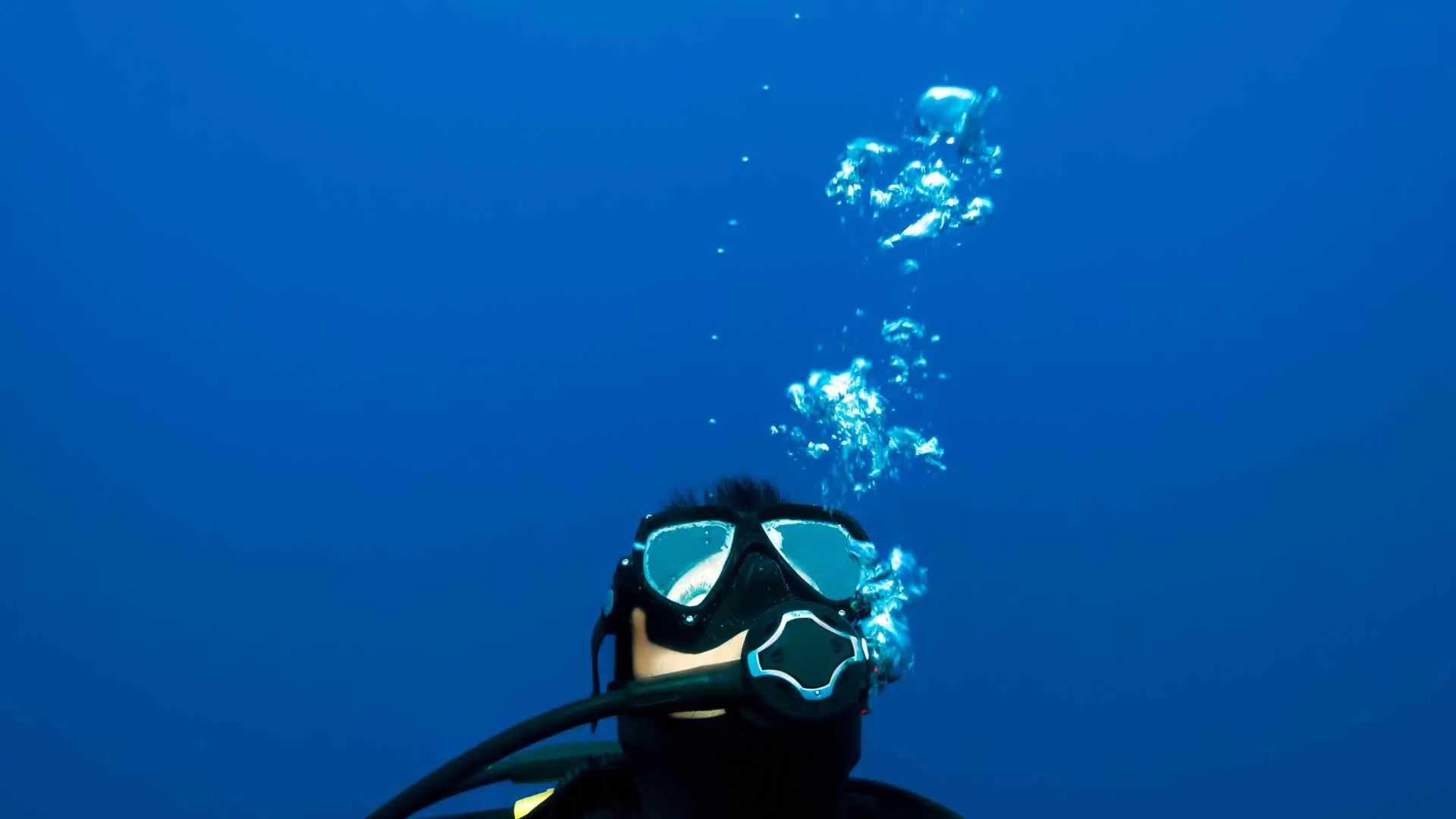 Tarkarli scuba diving