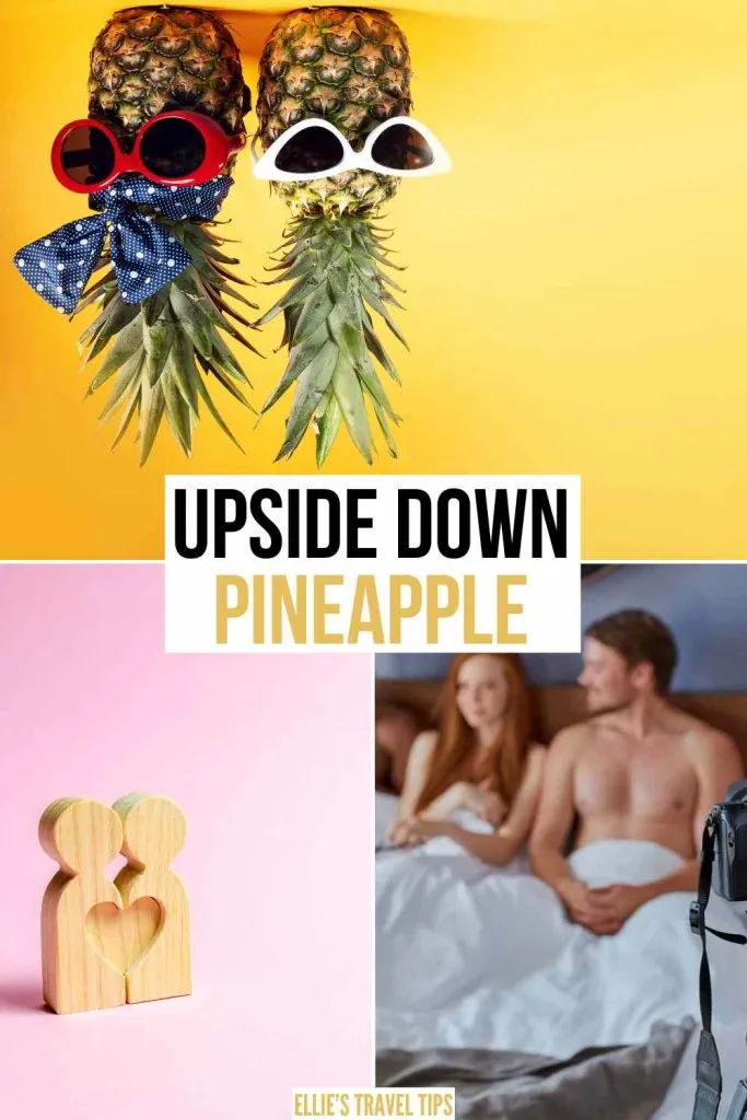upside down pineapple meaning pin