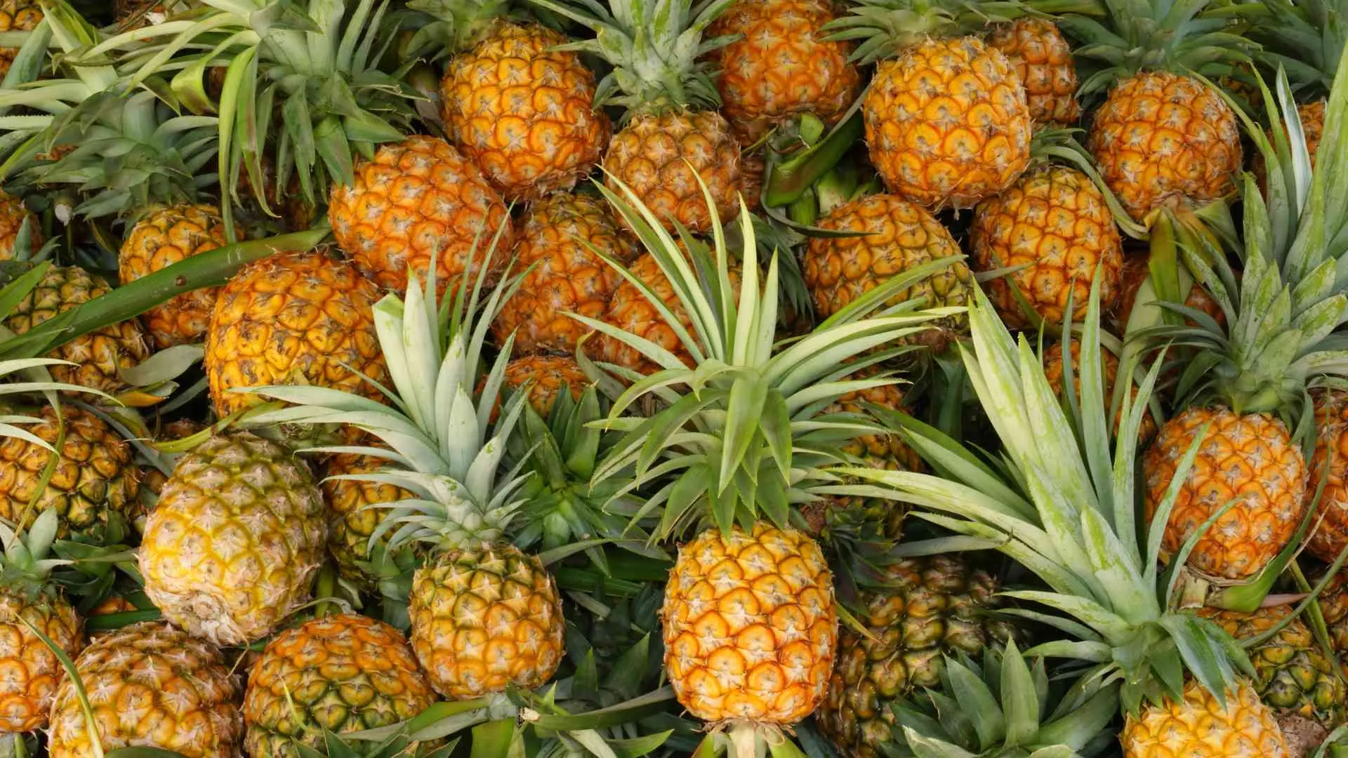 What Does a Pineapple Mean