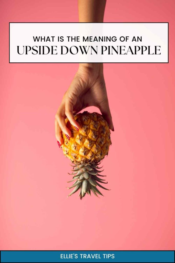 upside down pineapple meaning pin