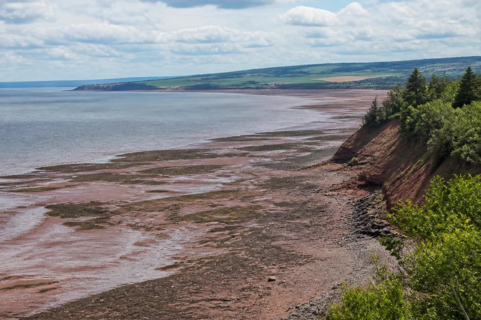 Bay of Fundy tidal shoreline and green Annapolis Valley hills