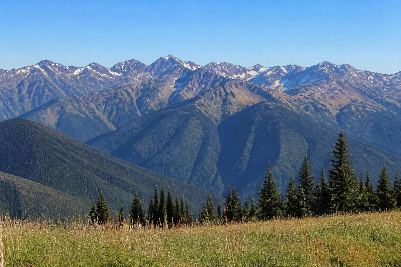 Olympic Mountains viewed from Hurricane Ridge