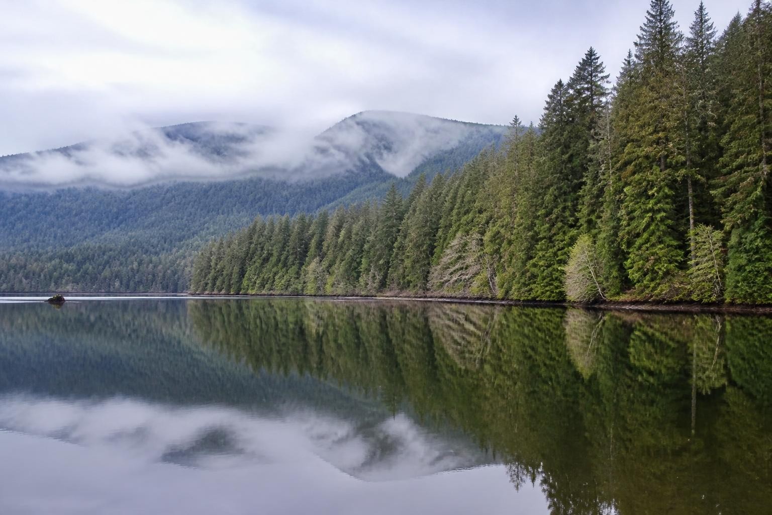 Lake Quinault reflecting rainforest and misty hills