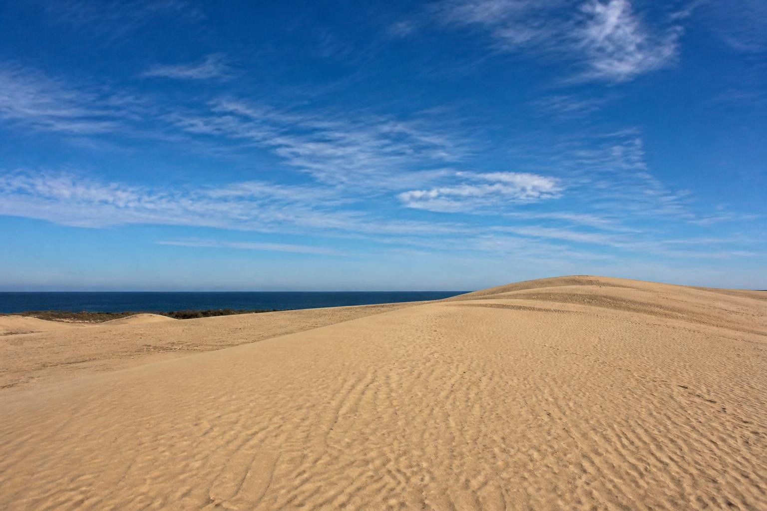 Wide sand dunes at Jockey's Ridge on the Outer Banks