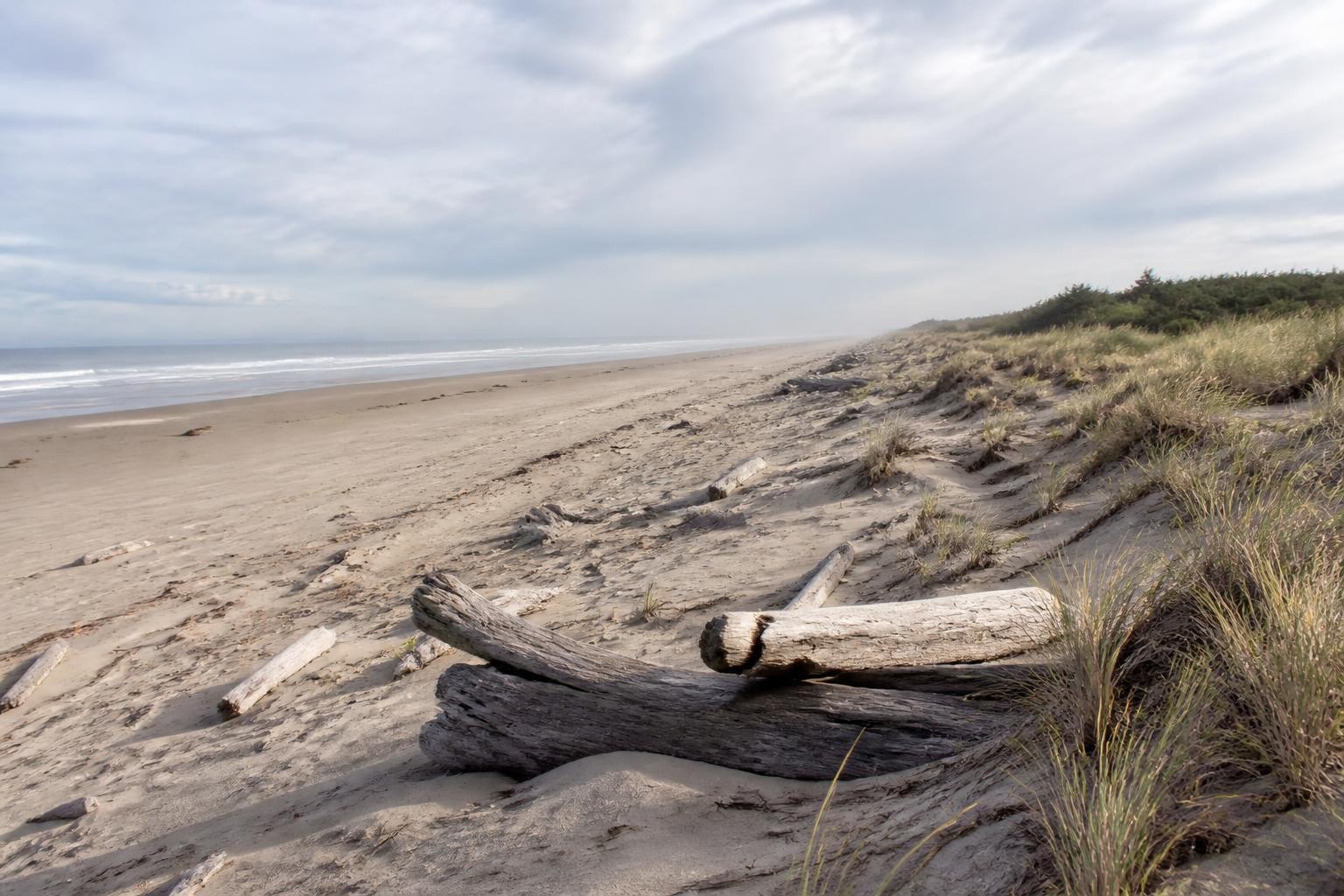 Wide Pacific beach on Washington's Long Beach Peninsula