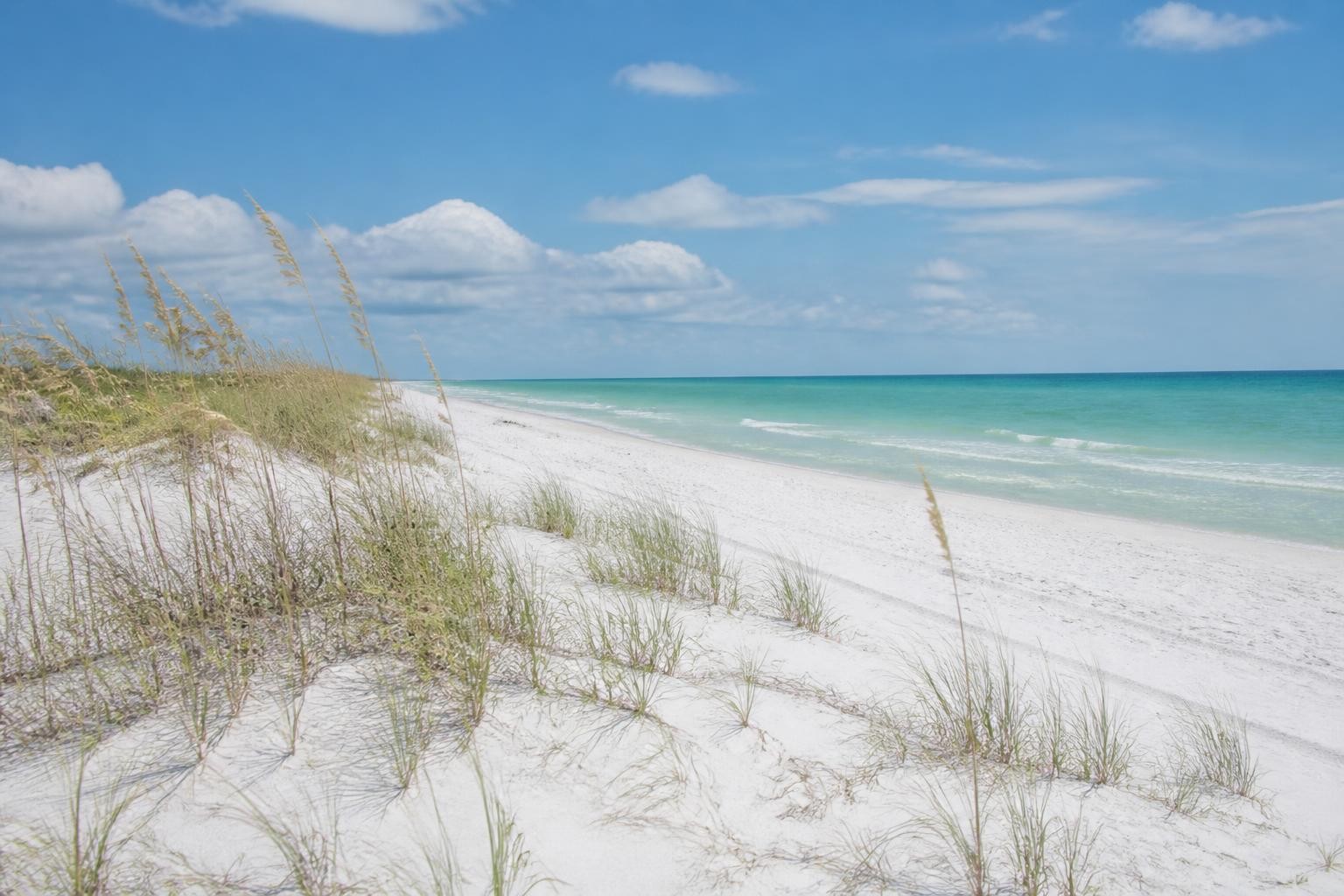 White sand and turquoise Gulf water on Florida's Forgotten Coast