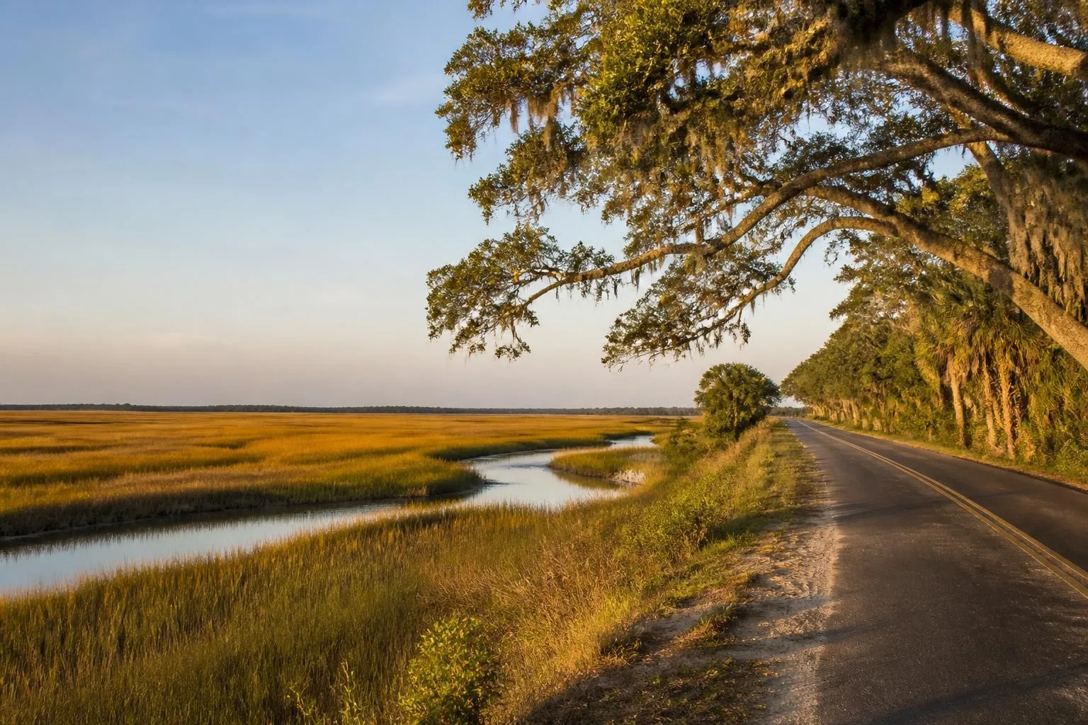 Golden salt marsh and tidal creeks in Georgia's Golden Isles