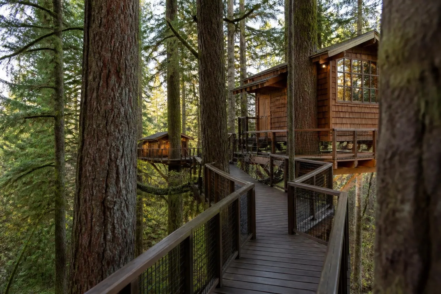 Elevated wooden cabin among tall evergreen trees in southern Oregon