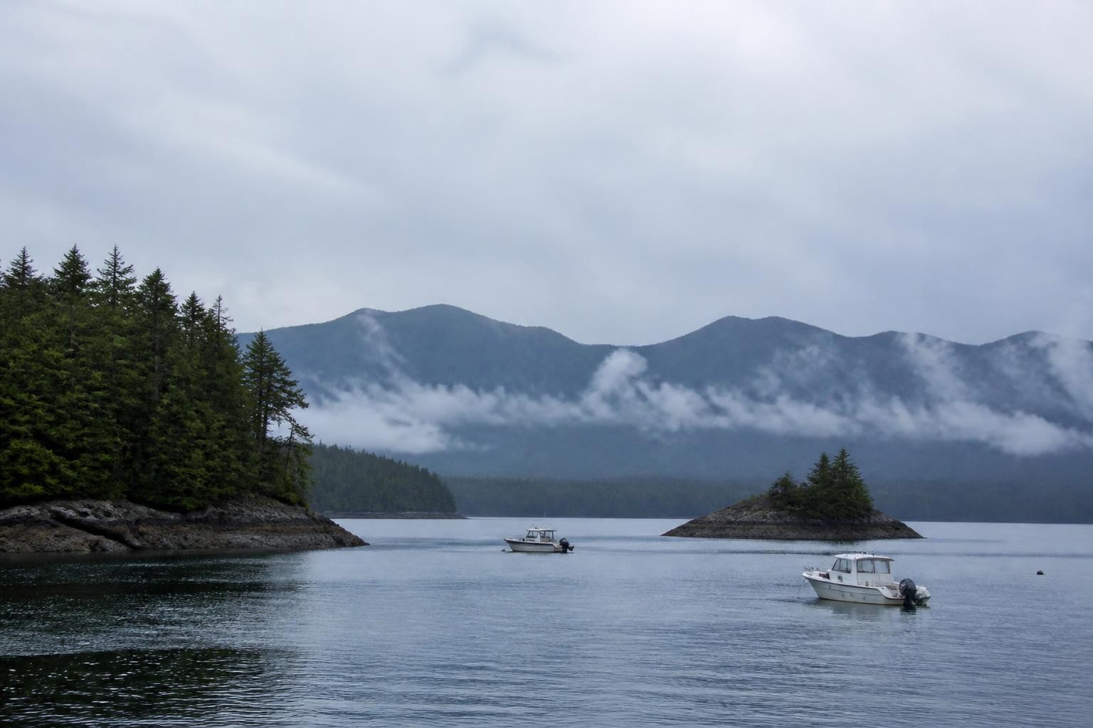 Tofino harbor with evergreen islands and misty coastal mountains