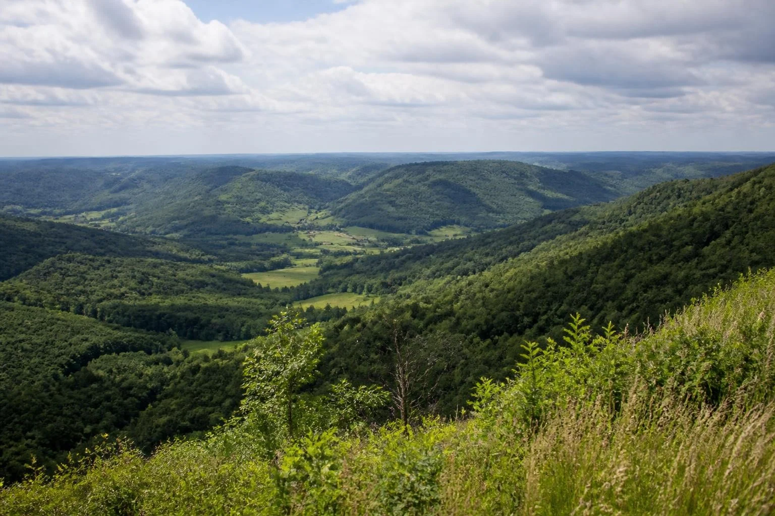 Layered ridges and valleys in Wisconsin's Driftless Area