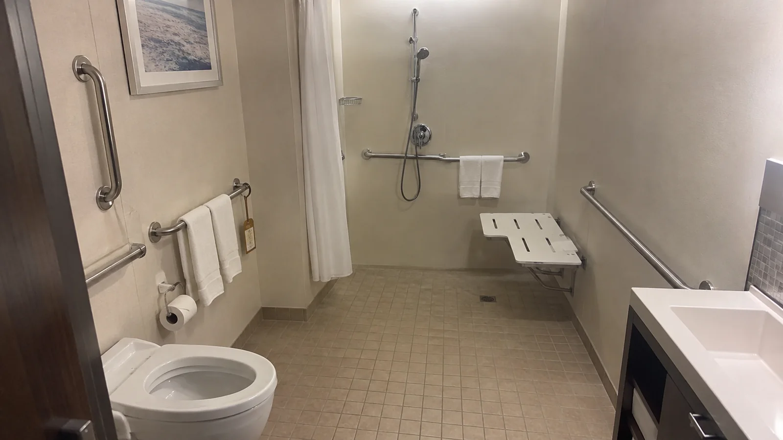 Accessible bathroom includes grab bars, a fold-down shower seat and level floor.