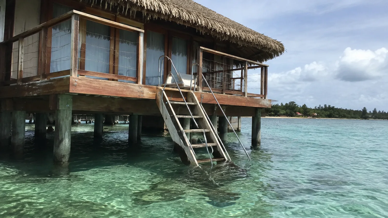 Ladder descending from an overwater bungalow deck into clear shallow water.