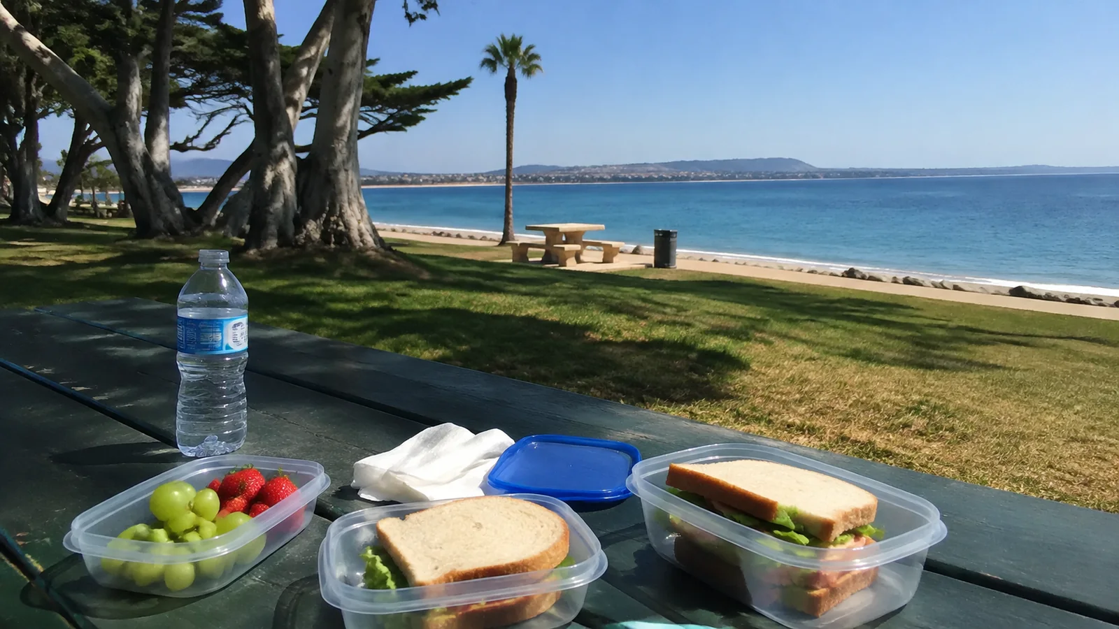 Packed sandwich, fruit, and water bottle on a picnic table beside the sea.