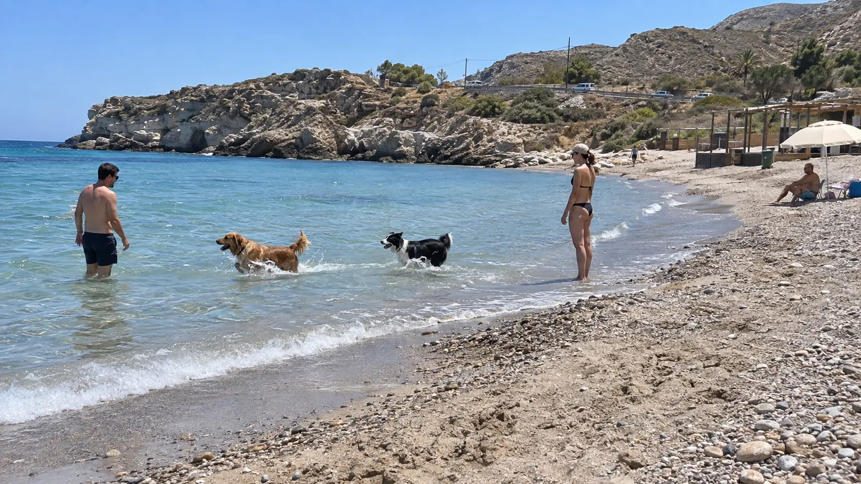 Dogs splash with their owners in the shallows at Agua Amarga Beach.