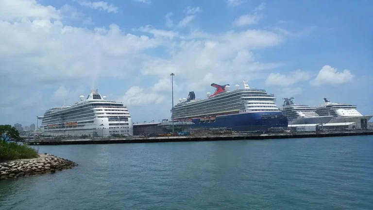 Two large cruise ships docked across a harbor