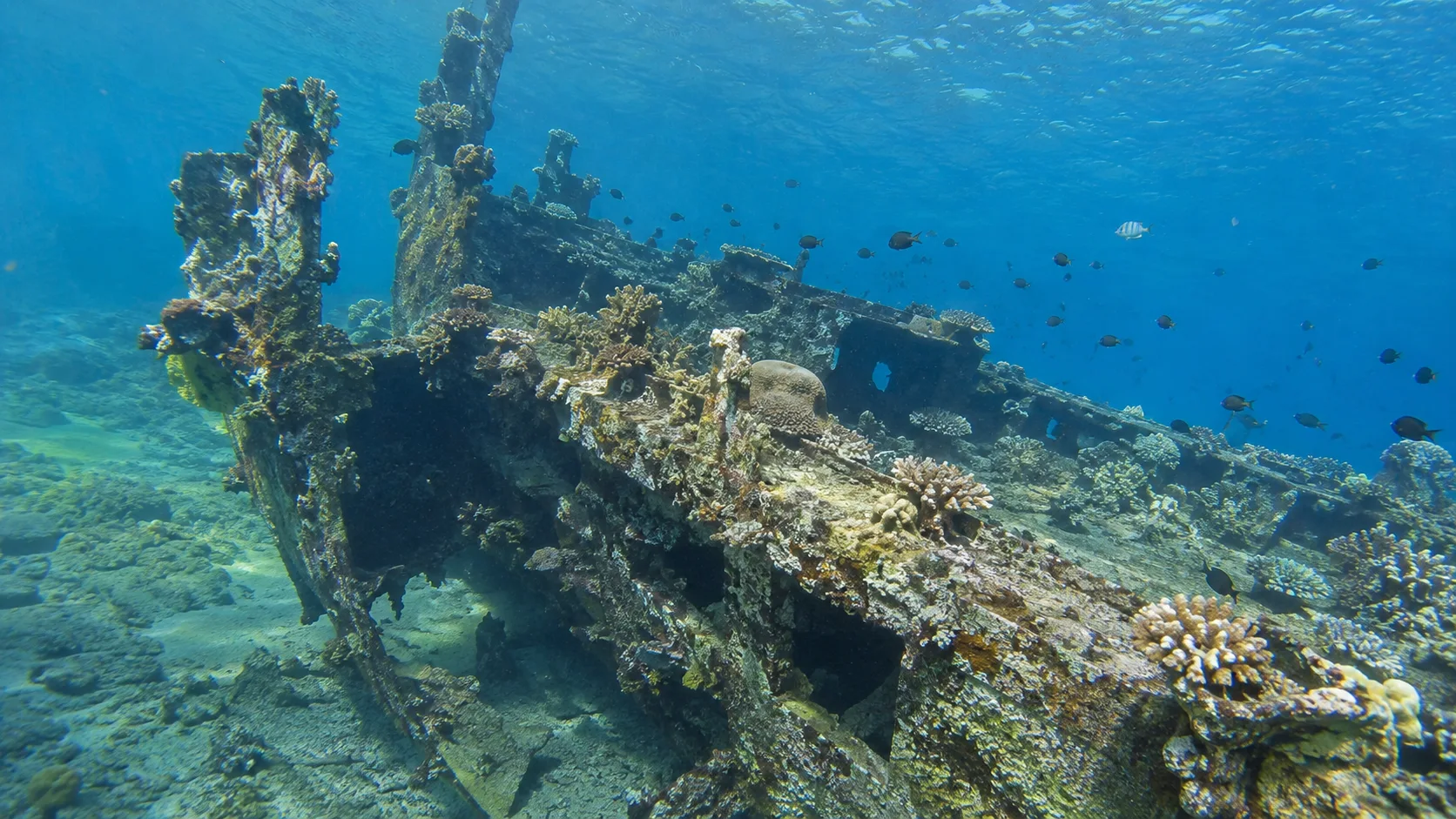 Coral-covered Japanese wreck in shallow water near Banyuning.